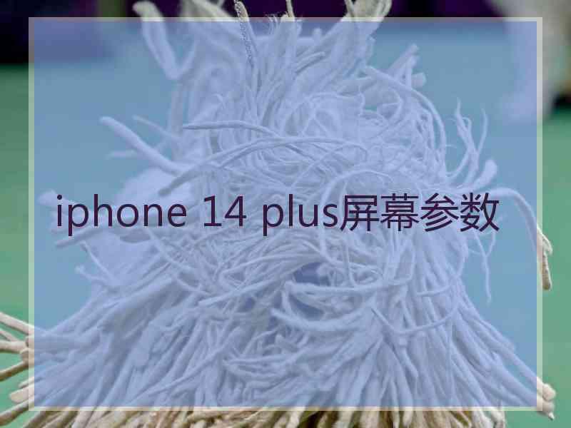 iphone 14 plus屏幕参数