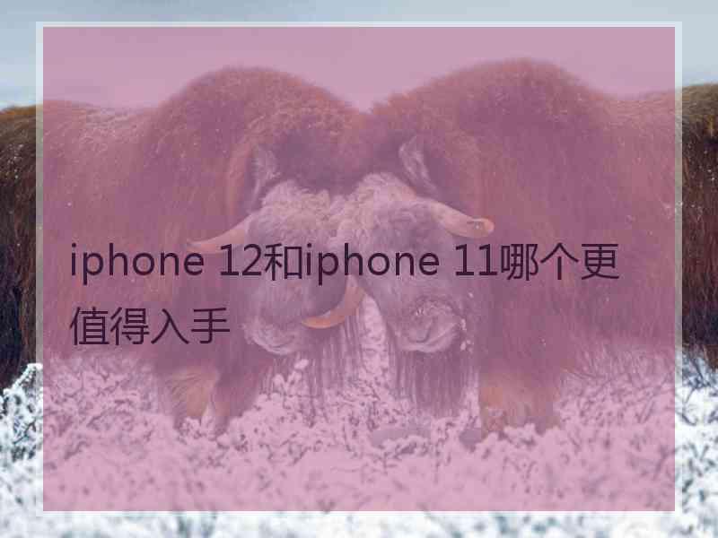 iphone 12和iphone 11哪个更值得入手