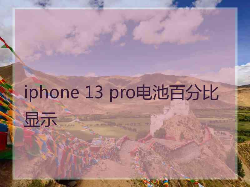 iphone 13 pro电池百分比显示