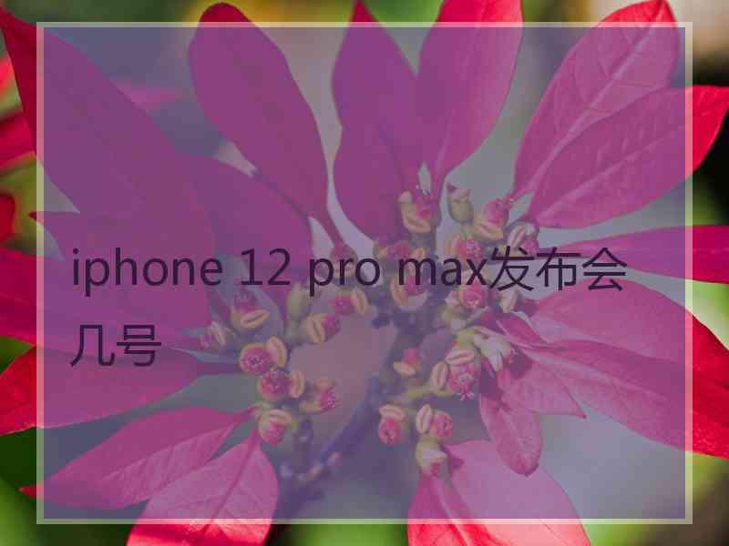 iphone 12 pro max发布会几号