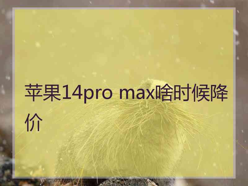 苹果14pro max啥时候降价