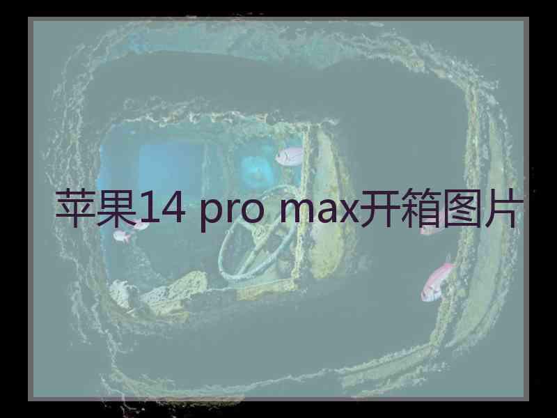 苹果14 pro max开箱图片