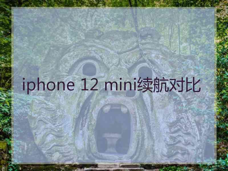 iphone 12 mini续航对比