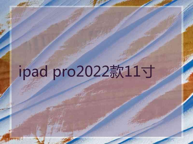 ipad pro2022款11寸