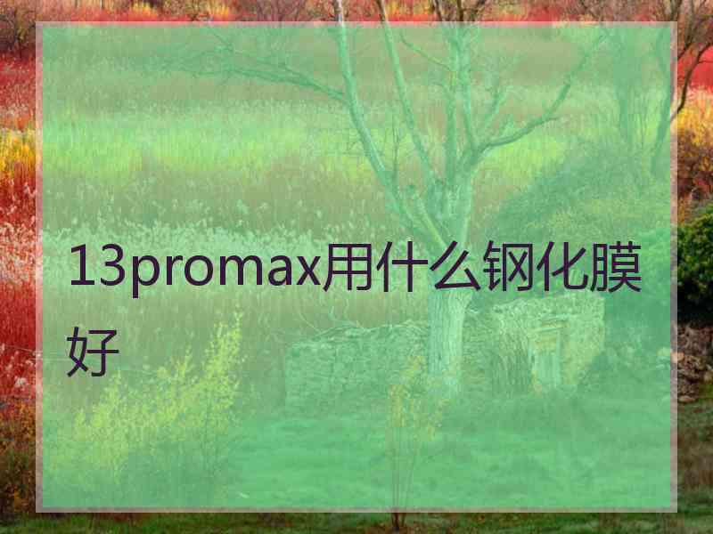 13promax用什么钢化膜好