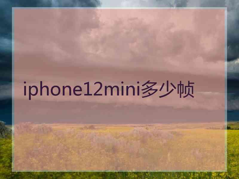 iphone12mini多少帧