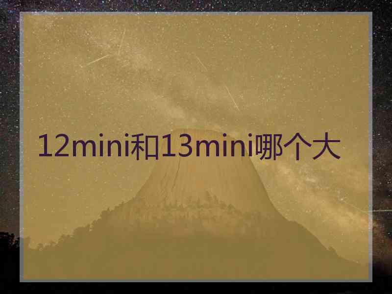 12mini和13mini哪个大