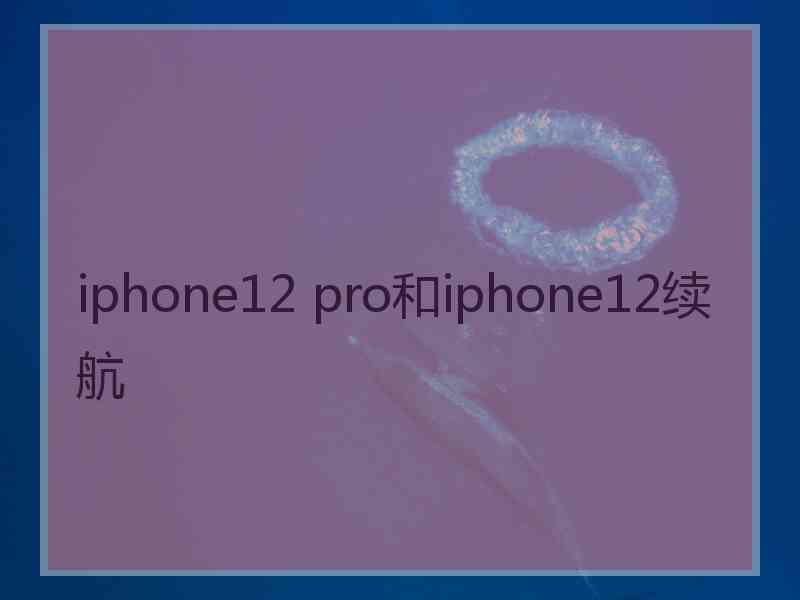 iphone12 pro和iphone12续航