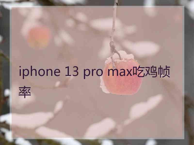 iphone 13 pro max吃鸡帧率