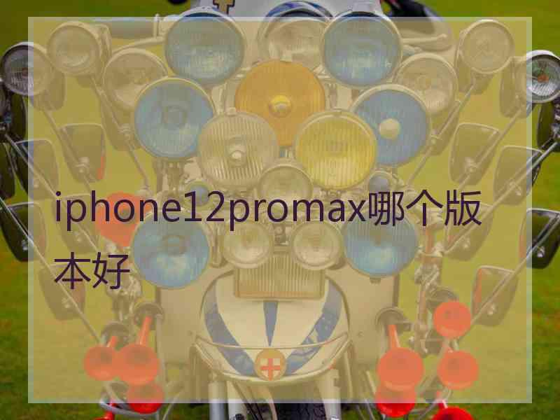 iphone12promax哪个版本好