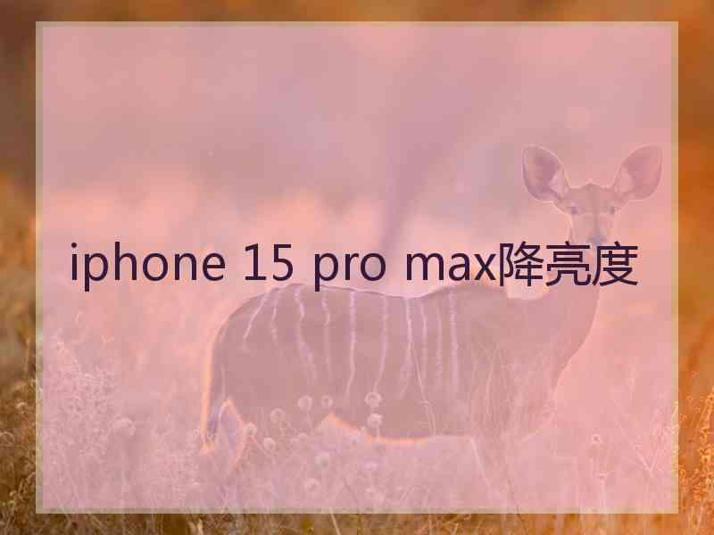 iphone 15 pro max降亮度