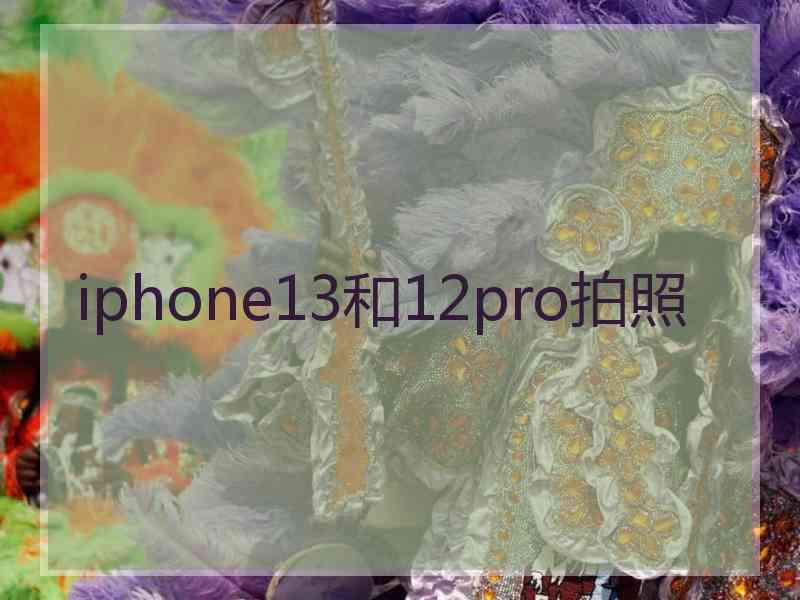 iphone13和12pro拍照