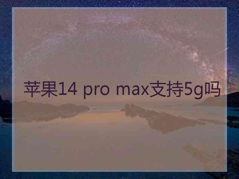 苹果14 pro max支持5g吗