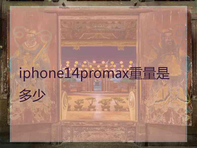 iphone14promax重量是多少