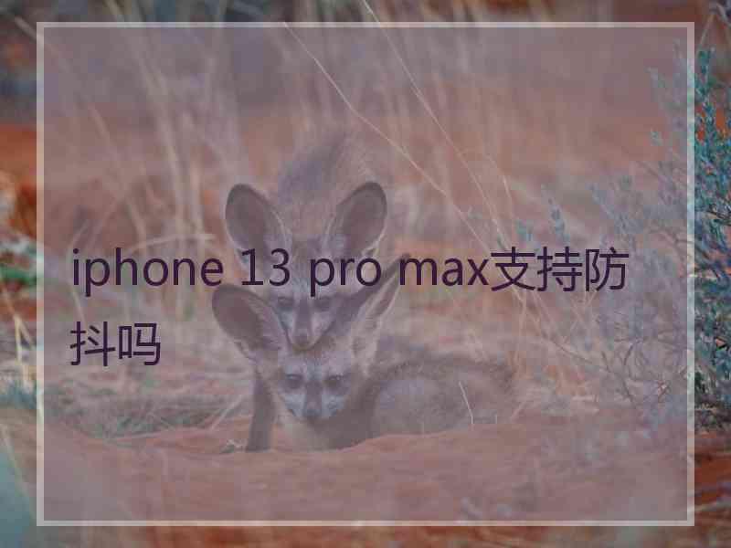 iphone 13 pro max支持防抖吗