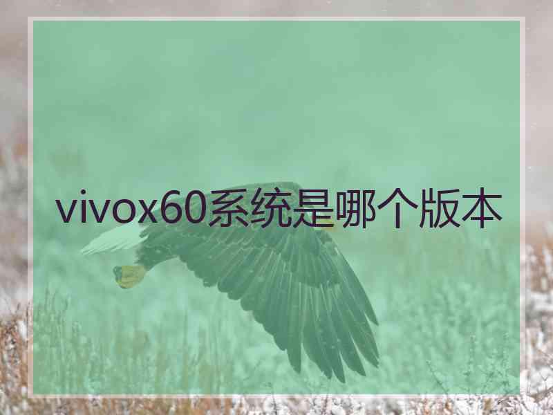 vivox60系统是哪个版本