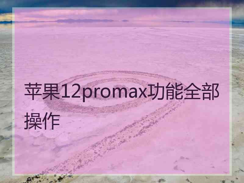 苹果12promax功能全部操作