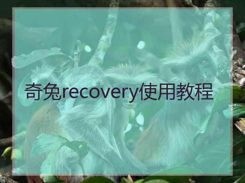 奇兔recovery使用教程