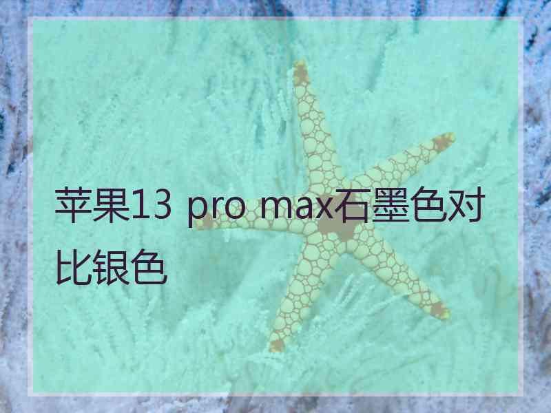 苹果13 pro max石墨色对比银色