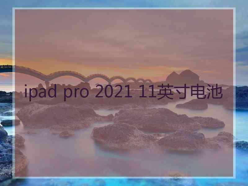 ipad pro 2021 11英寸电池