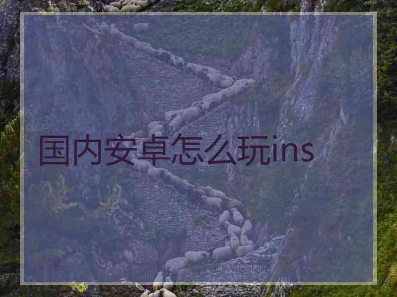 国内安卓怎么玩ins