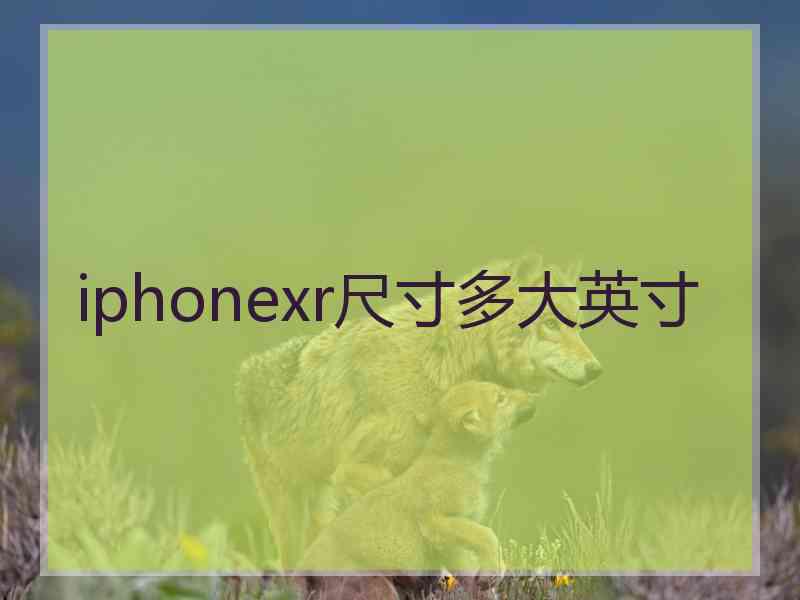 iphonexr尺寸多大英寸