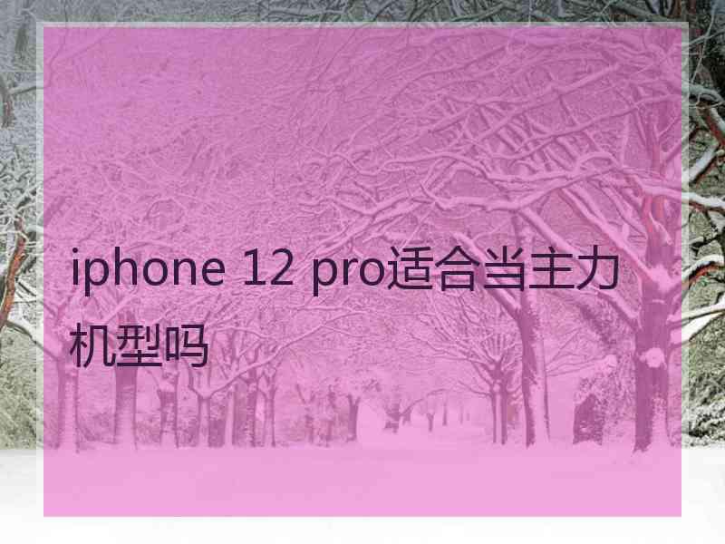 iphone 12 pro适合当主力机型吗