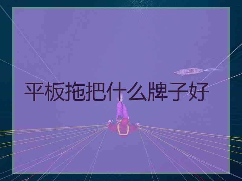 平板拖把什么牌子好