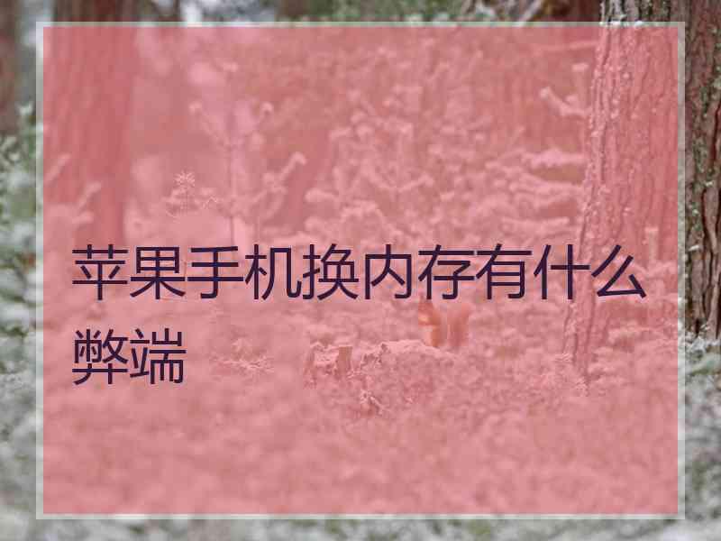 苹果手机换内存有什么弊端