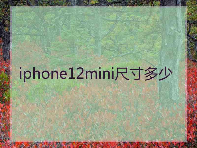 iphone12mini尺寸多少