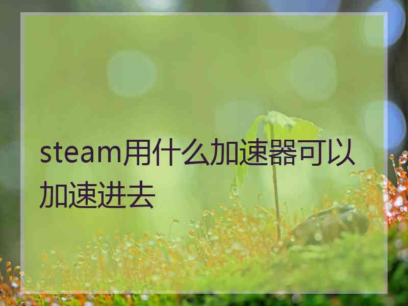 steam用什么加速器可以加速进去