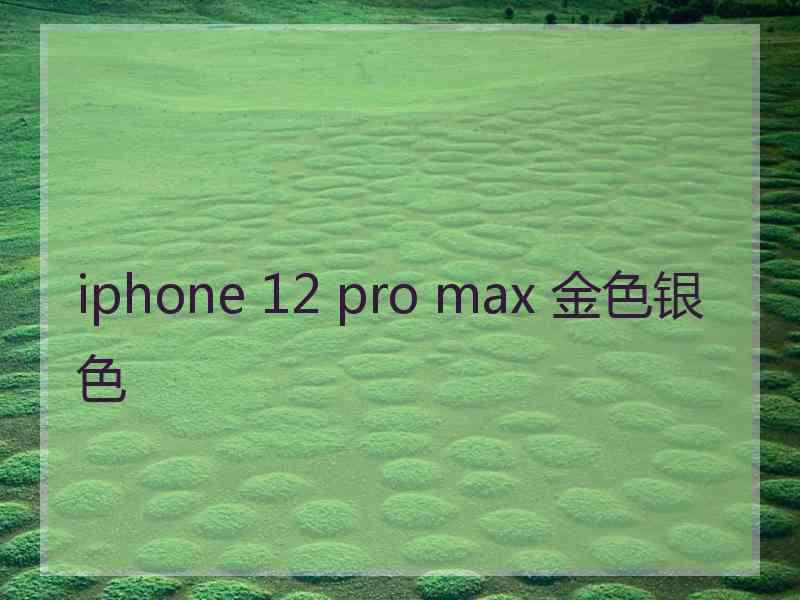 iphone 12 pro max 金色银色