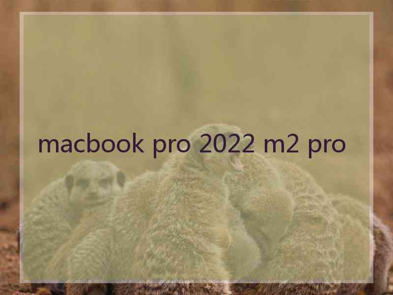 macbook pro 2022 m2 pro