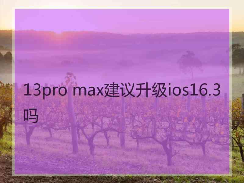 13pro max建议升级ios16.3吗