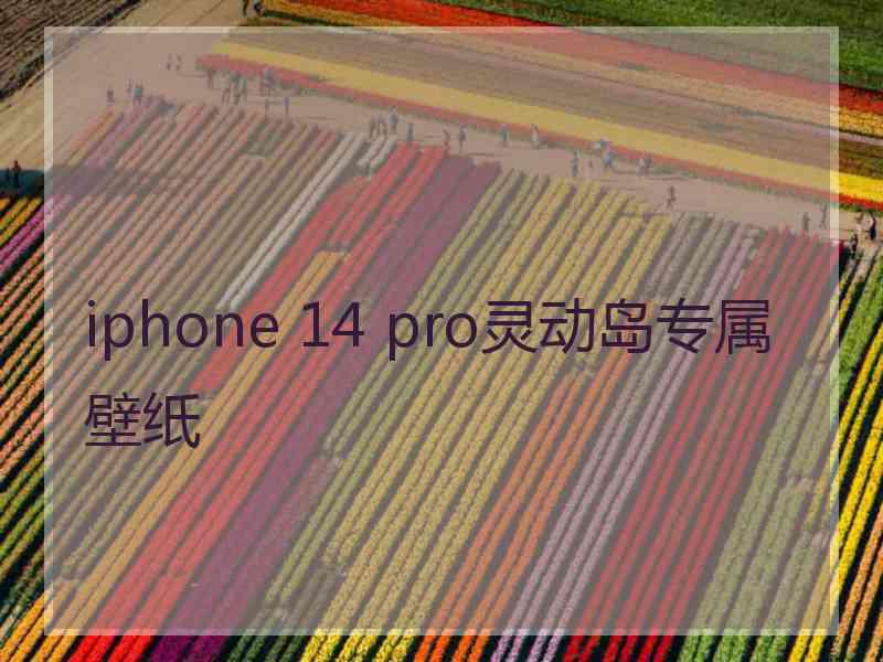 iphone 14 pro灵动岛专属壁纸