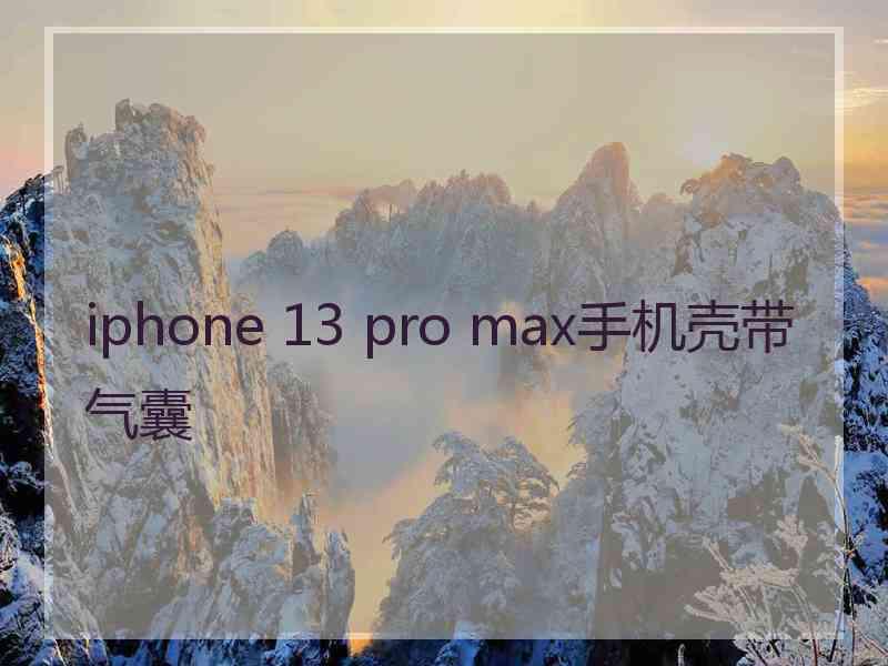 iphone 13 pro max手机壳带气囊