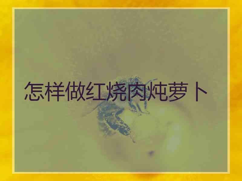 怎样做红烧肉炖萝卜