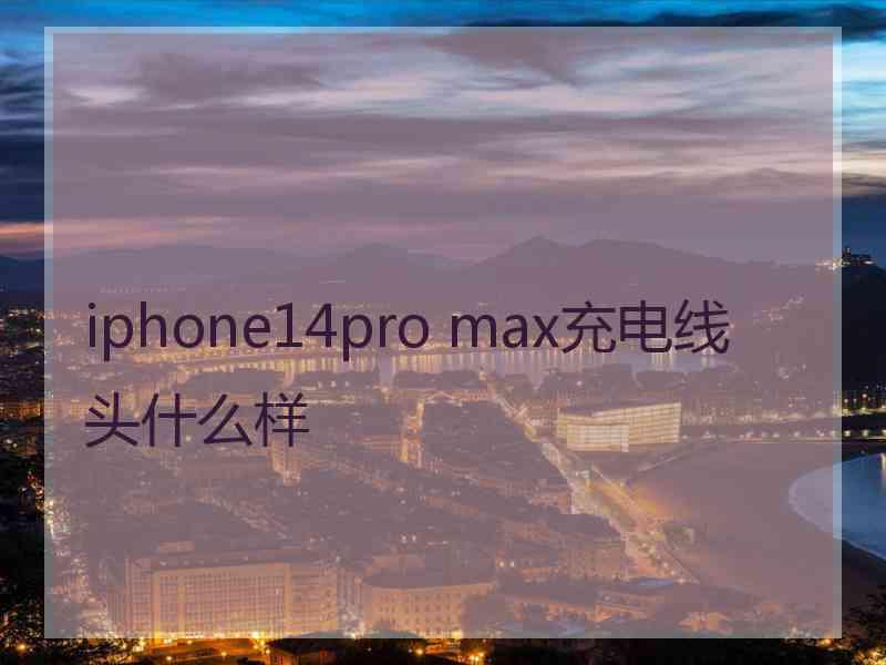 iphone14pro max充电线头什么样