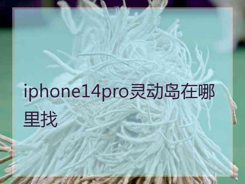 iphone14pro灵动岛在哪里找