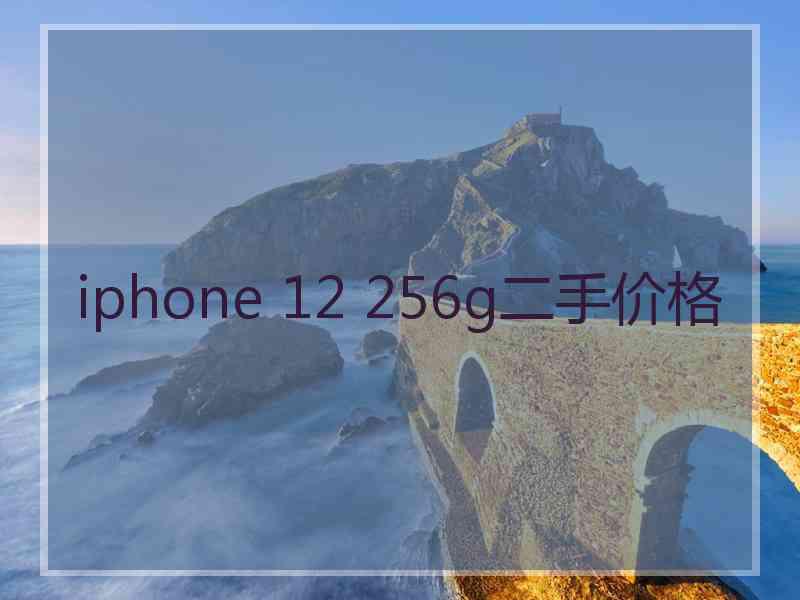 iphone 12 256g二手价格