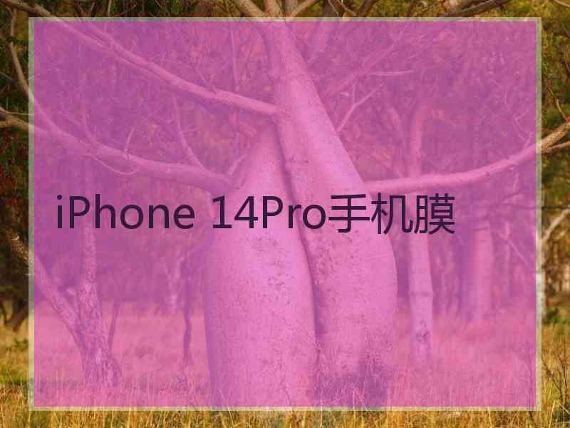 iPhone 14Pro手机膜