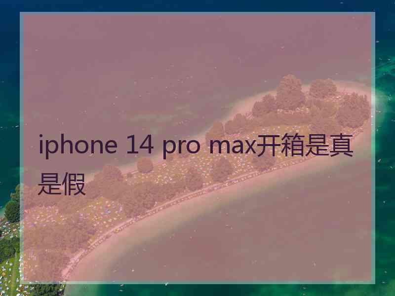 iphone 14 pro max开箱是真是假