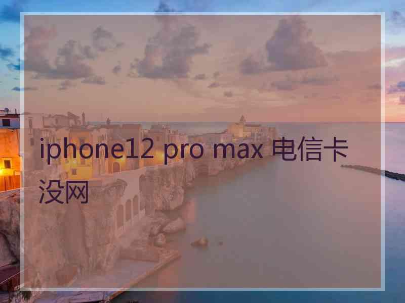 iphone12 pro max 电信卡没网