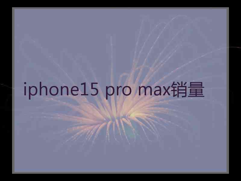 iphone15 pro max销量