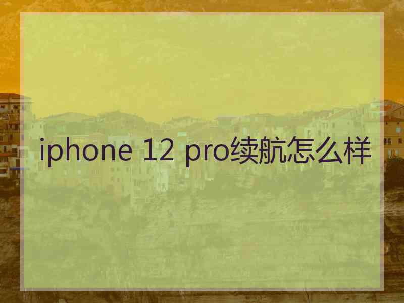 iphone 12 pro续航怎么样