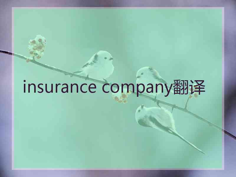 insurance company翻译