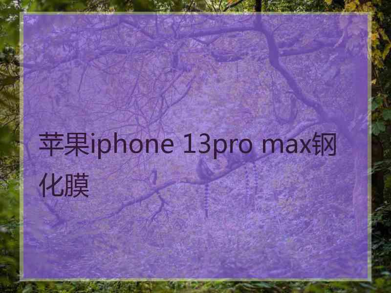 苹果iphone 13pro max钢化膜