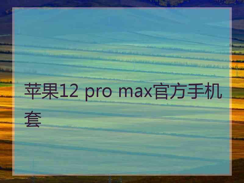 苹果12 pro max官方手机套