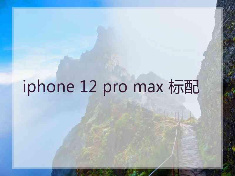 iphone 12 pro max 标配