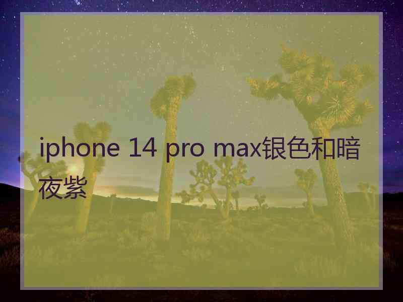 iphone 14 pro max银色和暗夜紫